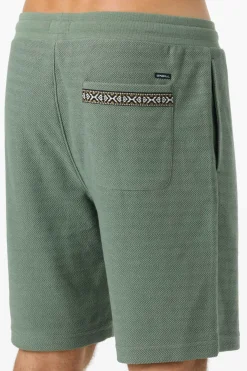 Bavaro Solid 19" Shorts