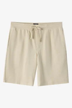 Bavaro Solid 19