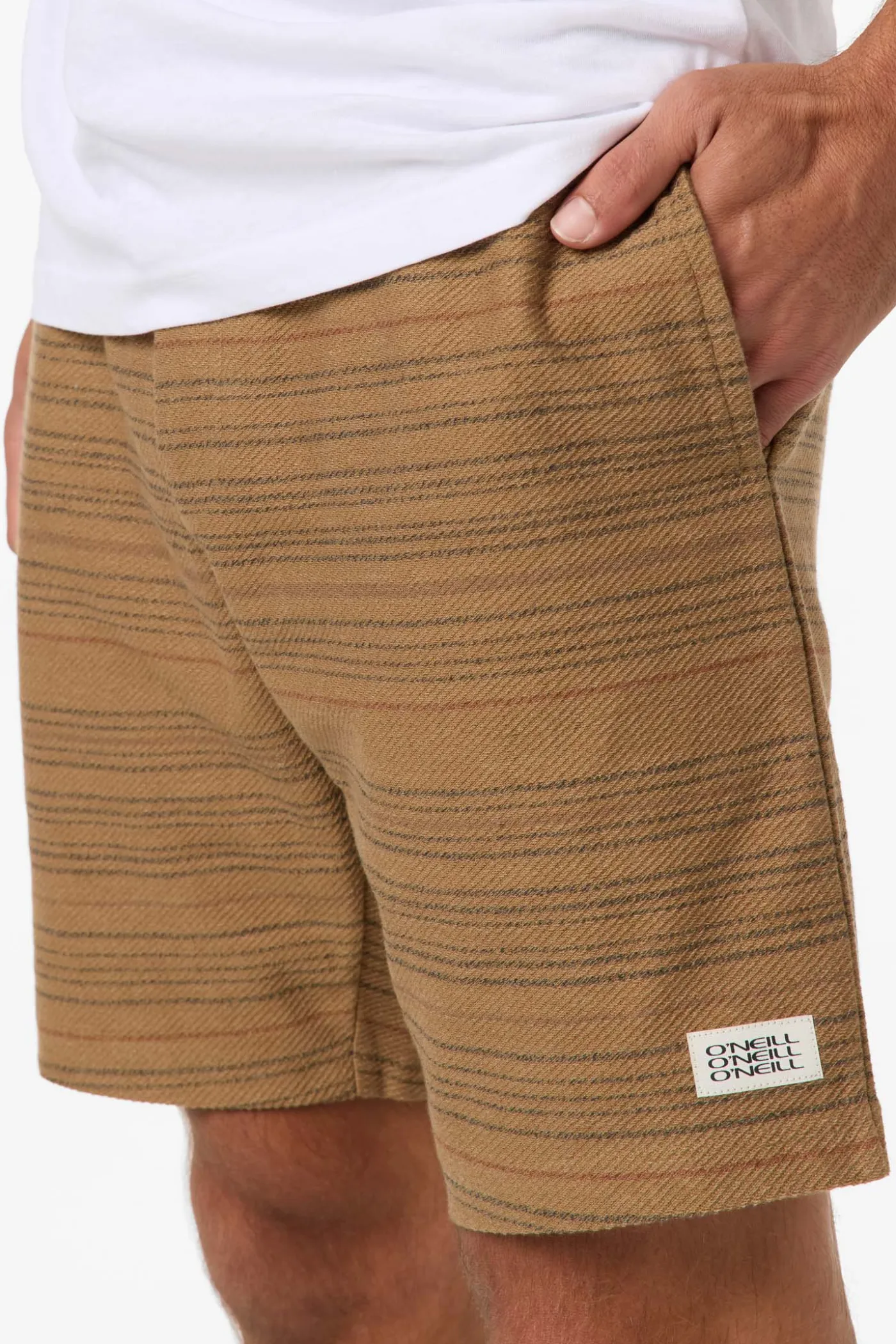 Bavaro Stripe 19" Shorts