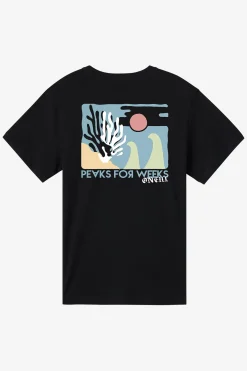 Boy's Coral Tee