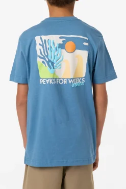Boy's Coral Tee