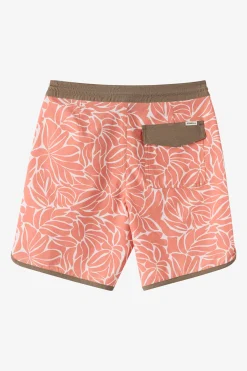 Boy's Cruzer Scallop 16