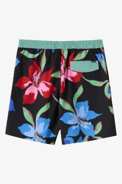 Boy's Hermosa Elastic Waist Lined 16" Swim Trunks