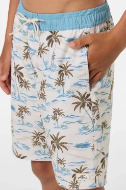 Boy's Hermosa Elastic Waist Lined 16