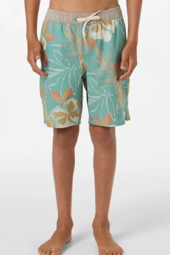 Boy's Hermosa Elastic Waist Lined 16" Swim Trunks