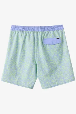 Boy's Hermosa Elastic Waist Lined 16" Swim Trunks
