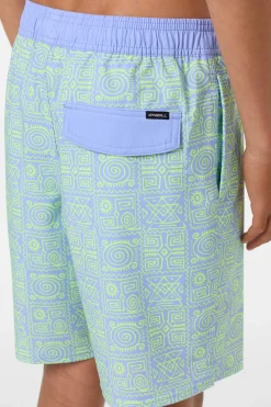 Boy's Hermosa Elastic Waist Lined 16