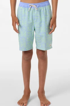 Boy's Hermosa Elastic Waist Lined 16