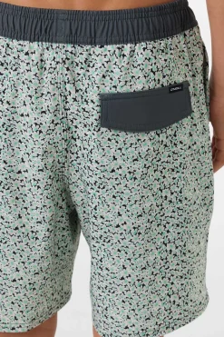 Boy's Hermosa Elastic Waist Lined 16" Swim Trunks