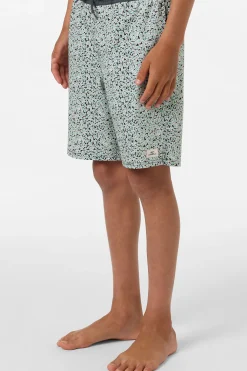 Boy's Hermosa Elastic Waist Lined 16