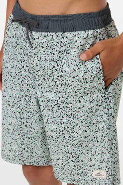 Boy's Hermosa Elastic Waist Lined 16