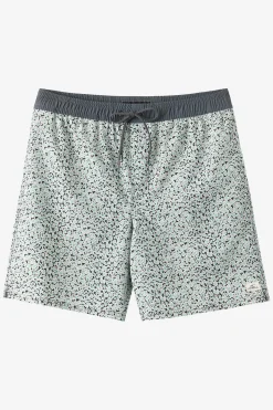 Boy's Hermosa Elastic Waist Lined 16