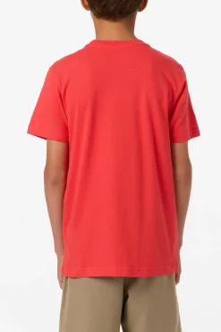 Boy's Reef Break Tee