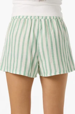 Brenda Stripe Beach Shorts