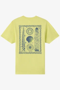 Calico Classic Tee