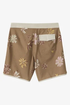 Cruzer Scallop 18