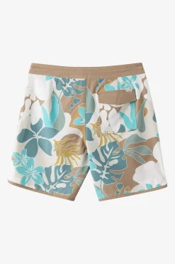 Cruzer Scallop 18
