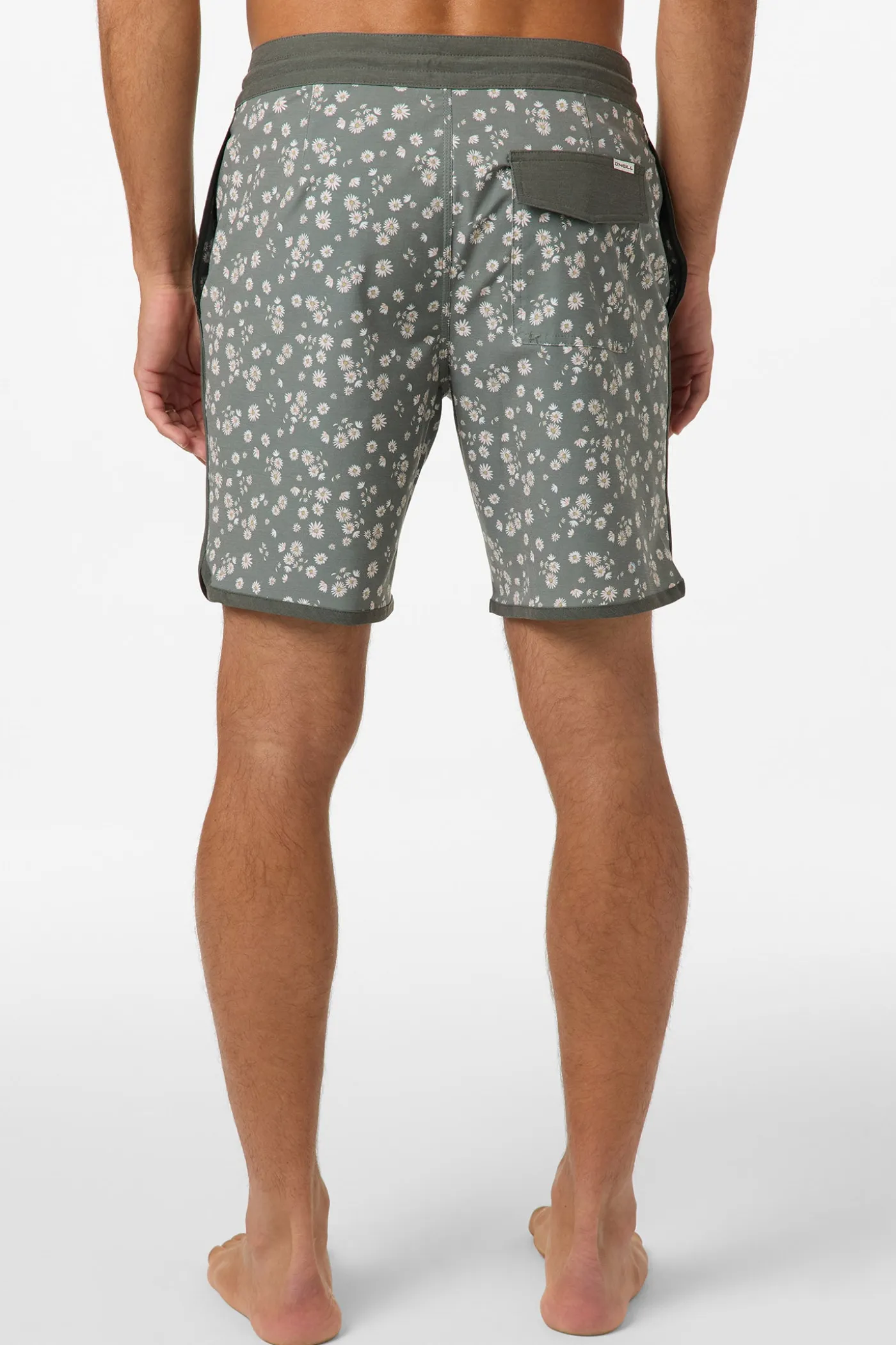 Cruzer Scallop 18" Boardshorts