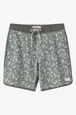 Cruzer Scallop 18