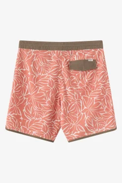 Cruzer Scallop 18