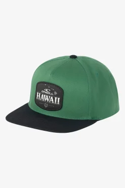 Hawaii Snapback Hat