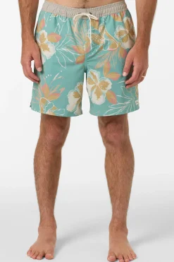 Hermosa Elastic Waist Lined 17" Swim Trunks