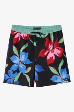 Hermosa Elastic Waist Lined 17" Swim Trunks