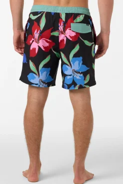 Hermosa Elastic Waist Lined 17" Swim Trunks