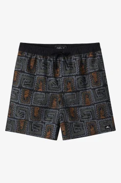 Hermosa Elastic Waist Lined 17" Swim Trunks