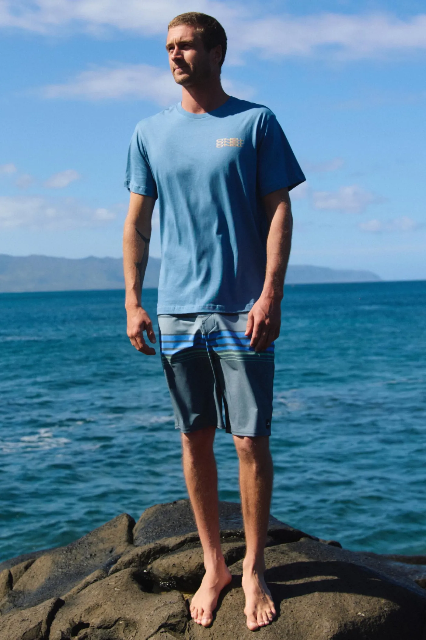 Hyperfreak Heat Stripe 20" Boardshorts