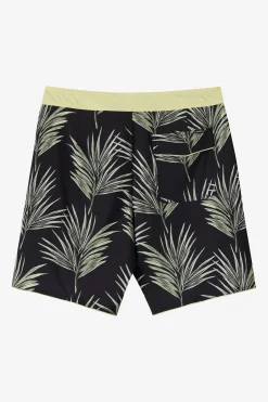 Hyperfreak Mysto Scallop 19