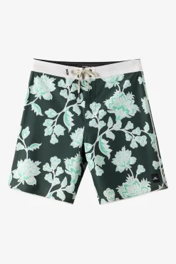 Hyperfreak Mysto Scallop 19
