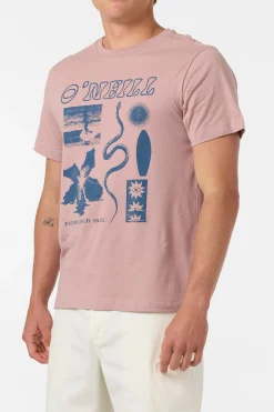 Kitchen Sink Classic Tee Tee
