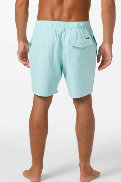 Lennox Hermosa Solid Volley 17" Swim Trunks