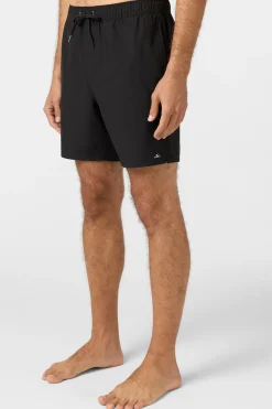 Lennox Hermosa Solid Volley 17" Swim Trunks