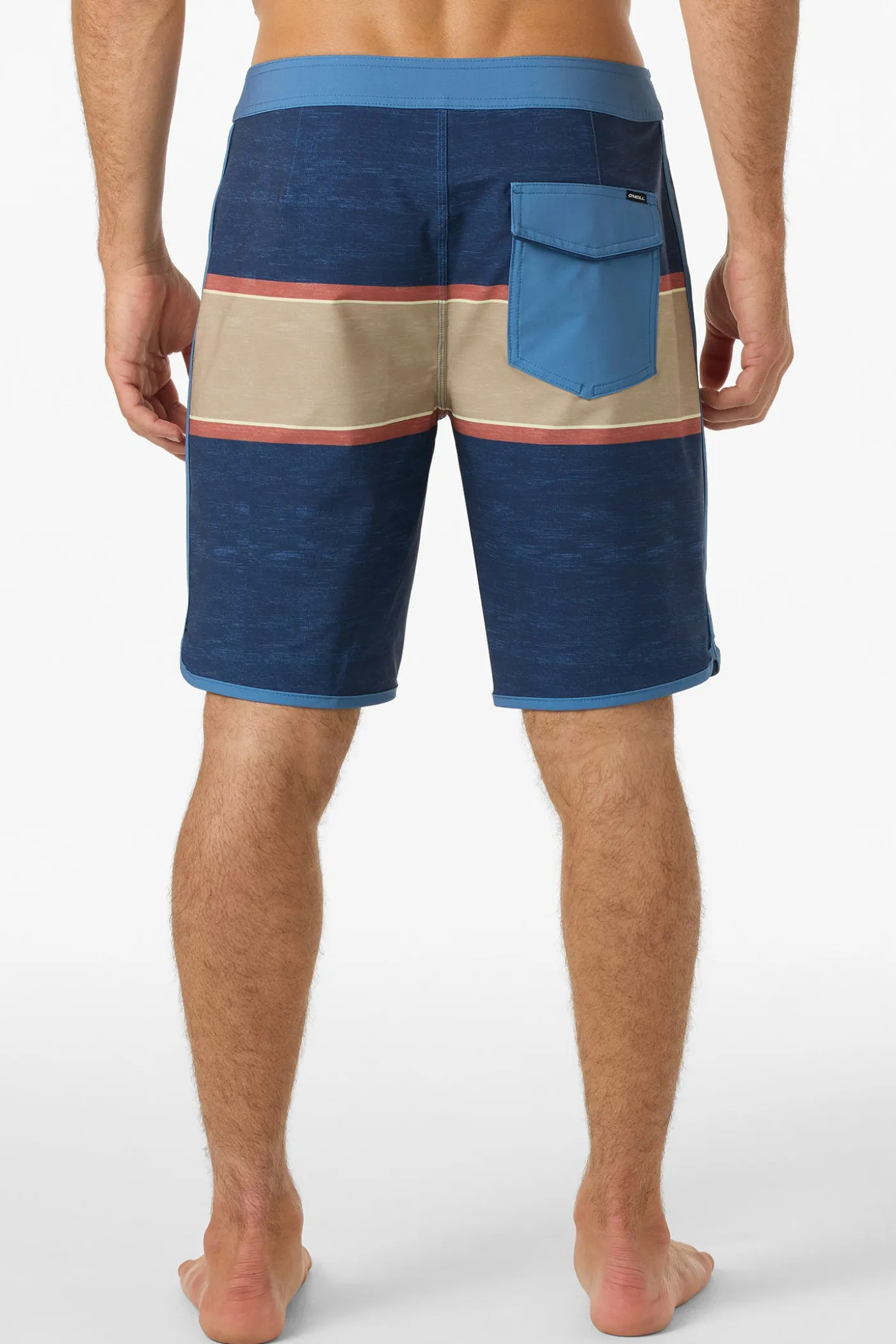 Lennox Scallop 19" Boardshorts