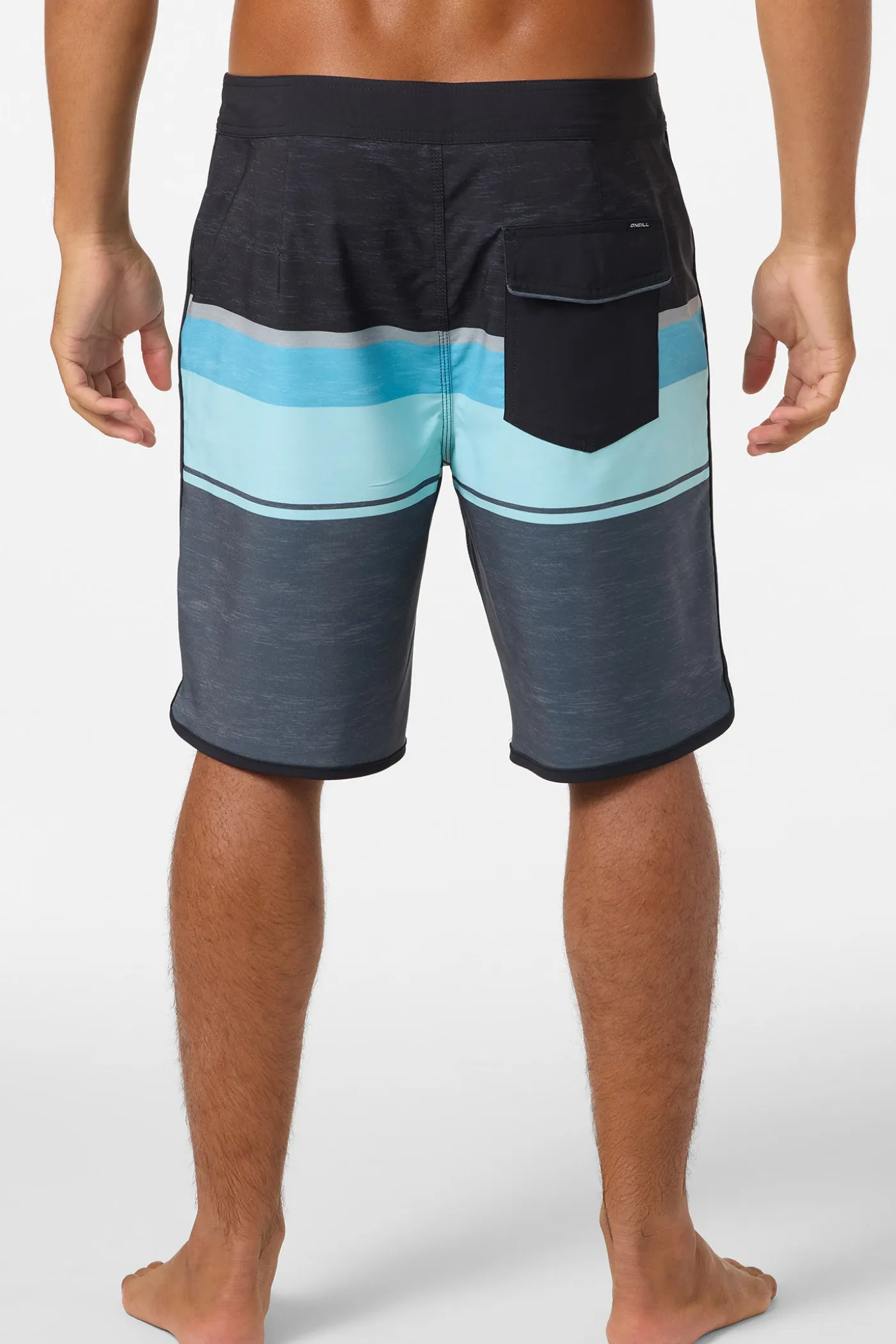 Lennox Scallop 19" Boardshorts
