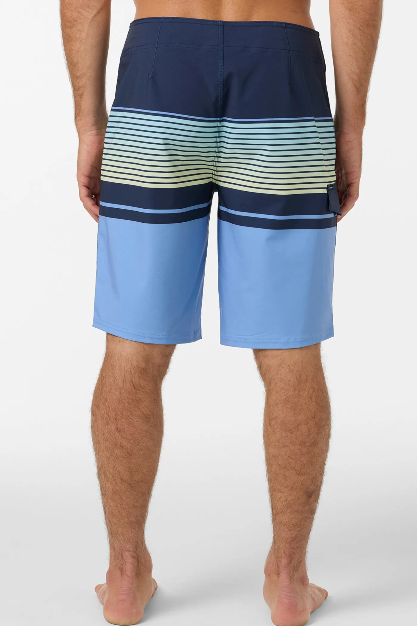 Lennox Stripe 21" Boardshorts