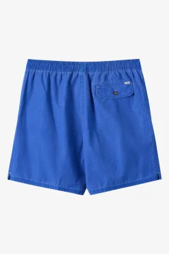 O'Riginals Fader 17" Swim Trunks