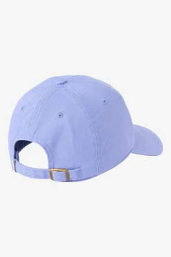 Palm Dad Hat