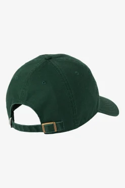 Palm Dad Hat