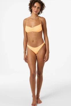 Saltwater Solids Tidal Bralette Top
