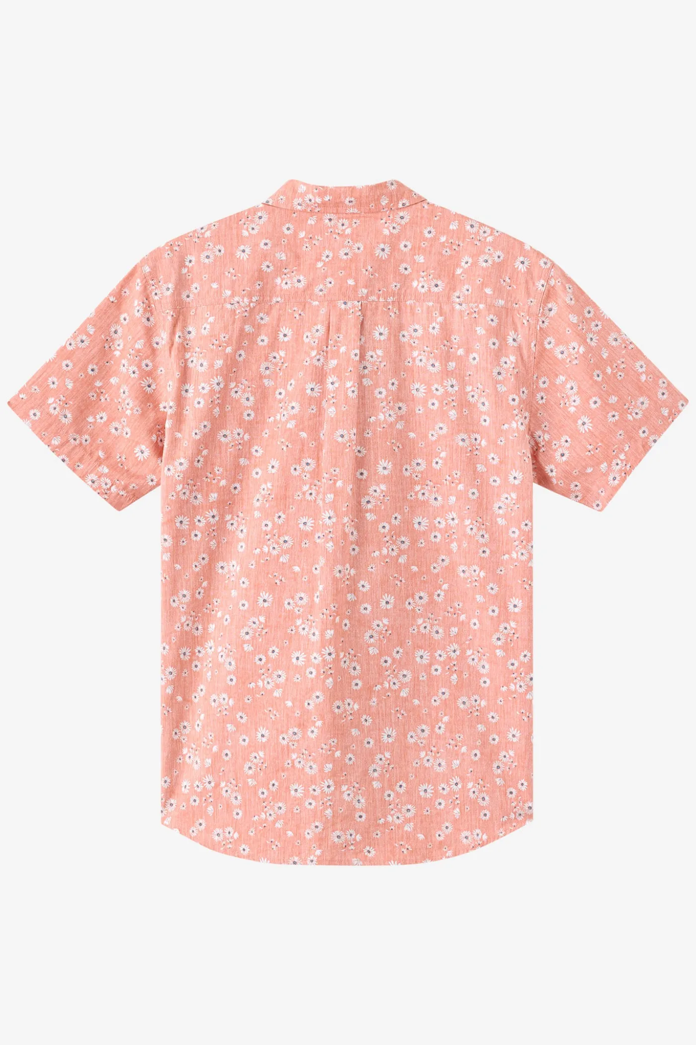 Terrace Standard Fit Shirt